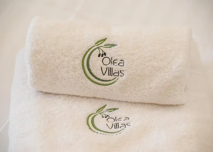 빌라 Olea Kefalonia